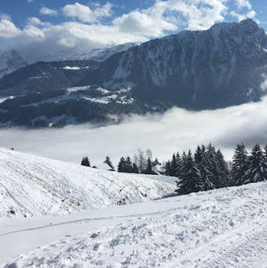 Meet your Posher, Helmy